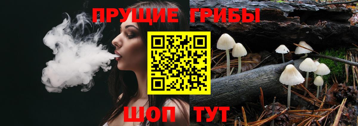 Галлюциногенные грибы прущие грибы Балашиха